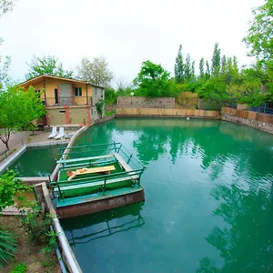 Amiran's Тбилиси